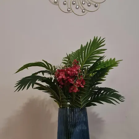 Art House 酒店 普罗夫迪夫